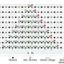 Research reveals quantum entanglement among quarks