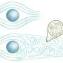 How measuring Reynolds similitude in superfluids could help demonstrate existence of quantum viscosity