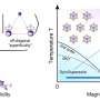 The first observation of a material exhibiting a supersolid phase of matter