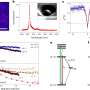 How semiconductor defects could boost quantum technology