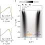 Quantum materials: A new state of matter with chiral properties