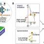 Single proton illuminates perovskite nanocrystal-based transmissive thin scintillators