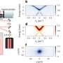 Optically trapped quantum droplets of light can bind together to form macroscopic complexes