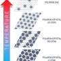 Putting a new spin on 1T phase tantalum disulfide: Scientists uncover a hidden electronic state