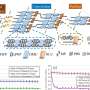 Classical optical neural network exhibits ‘quantum speedup’