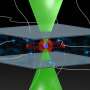 Physicist achieve milestone in quantum simulation with circular Rydberg qubits