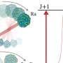 Nuclear physicists make first precision measurements of radium monofluoride