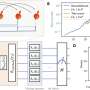 Research team shows theoretical quantum speedup with the quantum approximate optimization algorithm