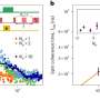 Scientists discover single atom defect in 2D material can hold quantum information at room temperature