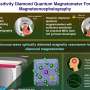 Highly sensitive diamond quantum magnetometer can achieve practical ambient condition magnetoencephalography