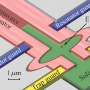 Understanding quantum states: New research shows importance of precise topography in solid neon qubits