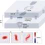 A new approach to realize quantum mechanical squeezing