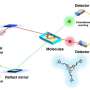 High-speed camera for molecules: Entangled photons enable Raman spectroscopy