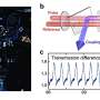 The experimental observation of a dissipative time crystal in a Rydberg gas