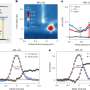 Researchers observe Floquet states in colloidal nanoplatelets driven by visible pulses