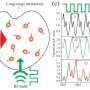 Observing higher-order and fractional discrete time crystals in Floquet-driven Rydberg atomic gases