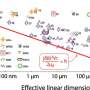 Certain animal navigation abilities found to operate at or near quantum limit of magnetic field detection