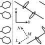 Excitons in organic semiconductors: Unraveling their quantum entanglement and dynamics