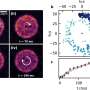 Journey to the center of a quantized vortex: How microscopic mutual friction governs superfluid dissipation